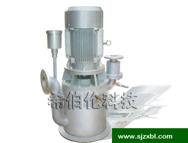 WZL无堵塞自吸泵